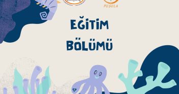 PUSULA DERGİSİ TEMMUZ 2026 SAYISI- EĞİTİM