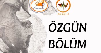 PUSULA DERGİSİ AĞUSTOS 2026 SAYISI- ÖZGÜN BÖLÜM